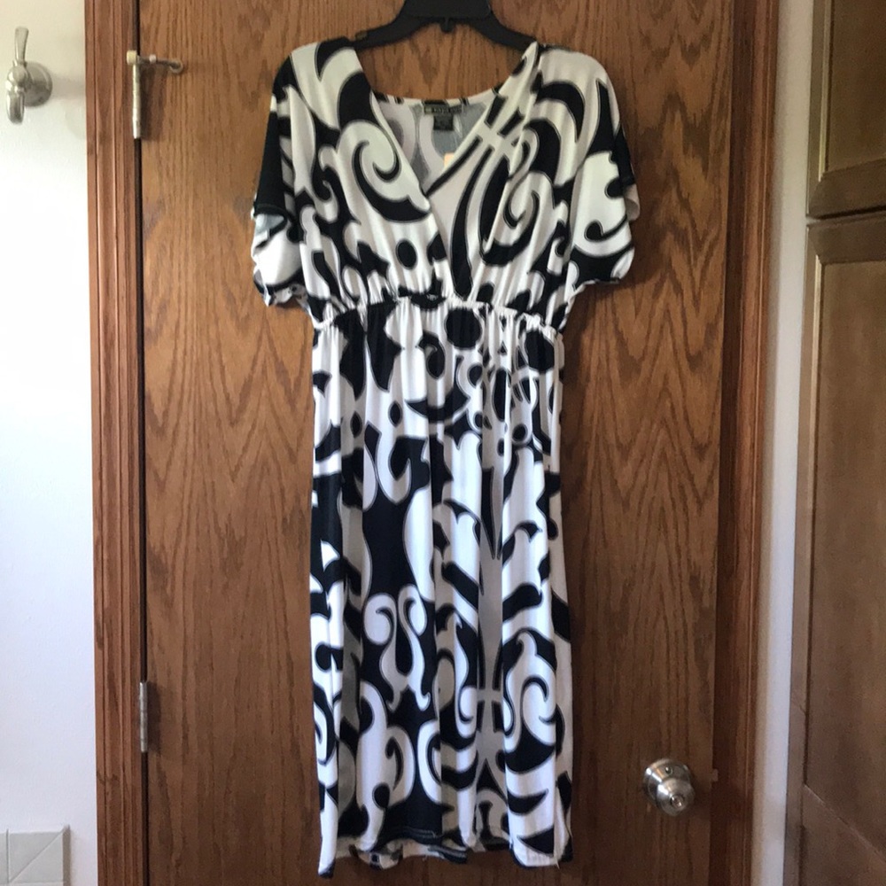 NWT Black and White RayaSun dress